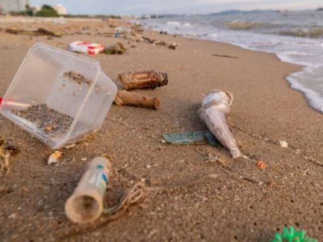 El pl�stico lidera la contaminaci�n costera